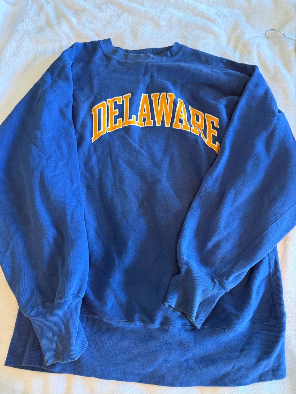 Champion Blue Crewneck Sweatshirt with Yellow Delaware Arch